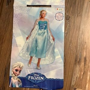 Adult Elsa costume